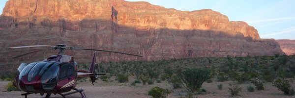 tony_sutton Profile Banner