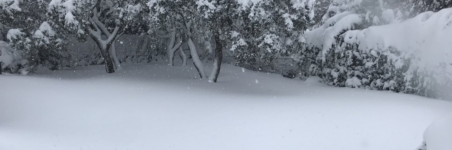 tomasramon's profile banner image