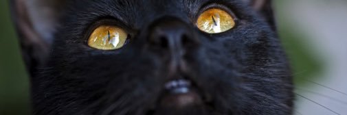 vgrcwb's profile banner image