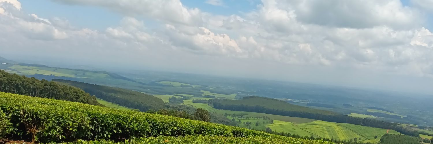 Clifford 🇰🇪 banner