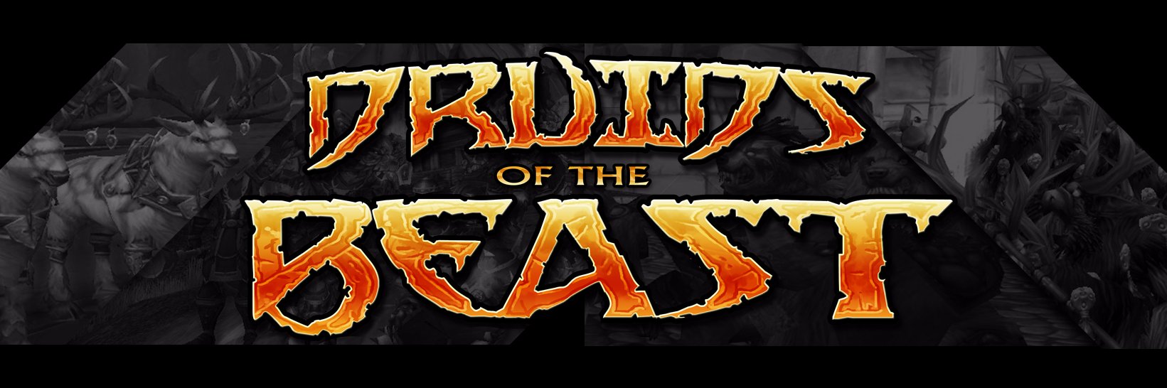 TheDruidGuild's profile banner image