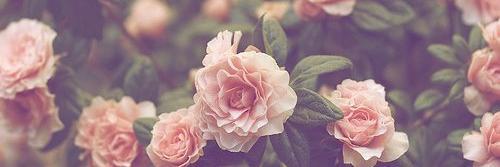 _sandyka's profile banner image