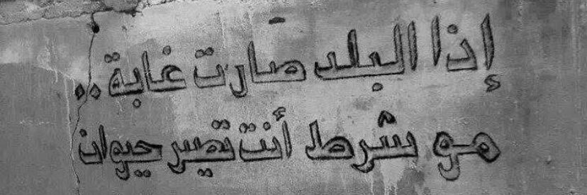 halasroor's profile banner image