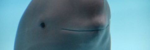 cftuz's profile banner image