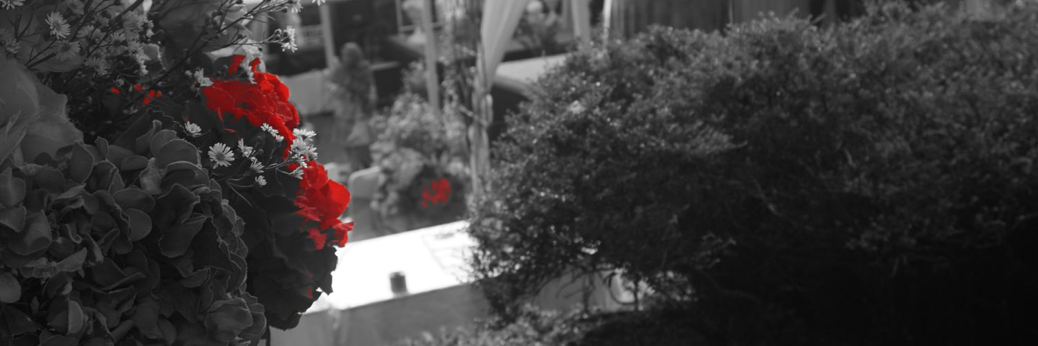 imannf15's profile banner image