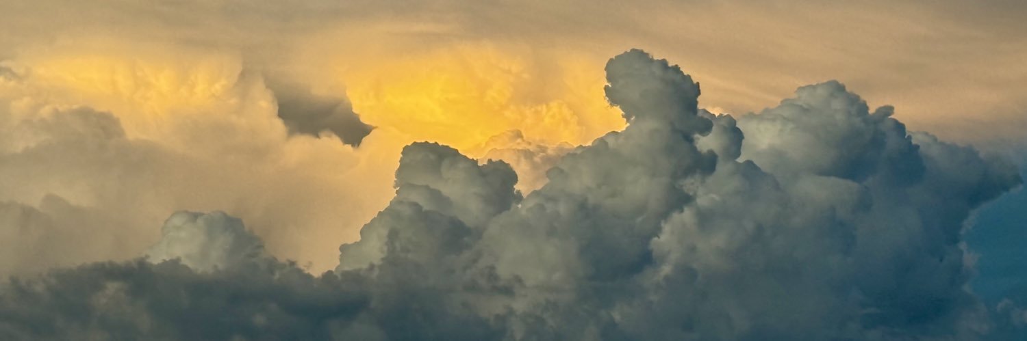 blondemom83's profile banner image