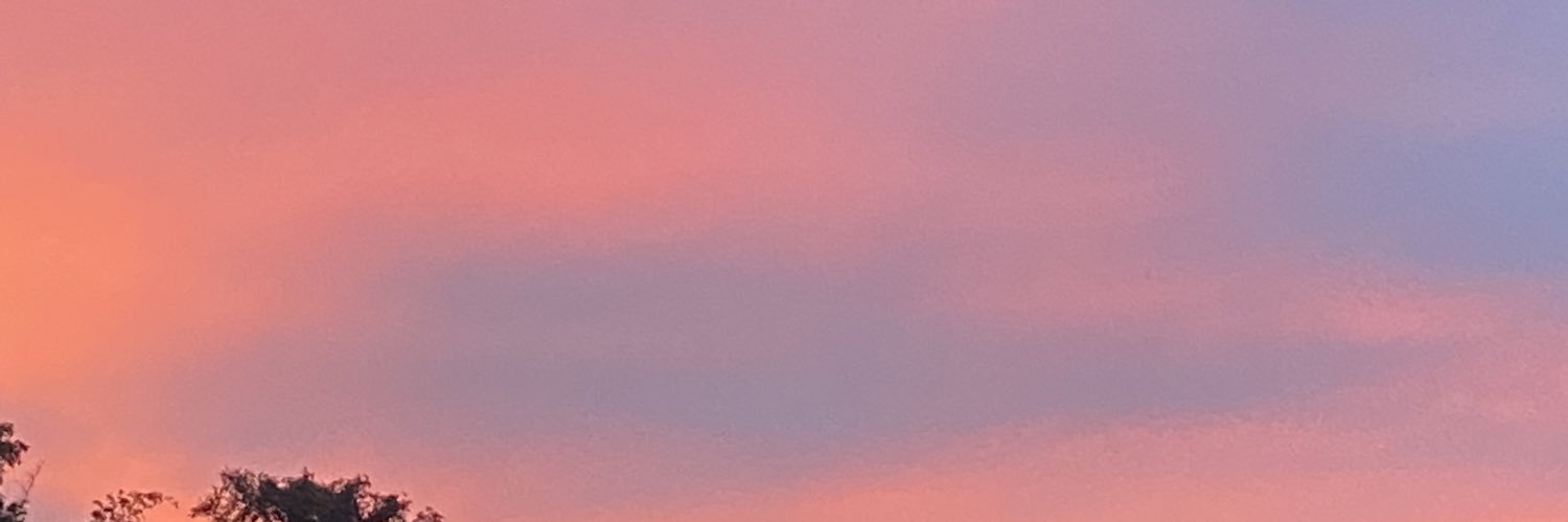 frong_aps's profile banner image