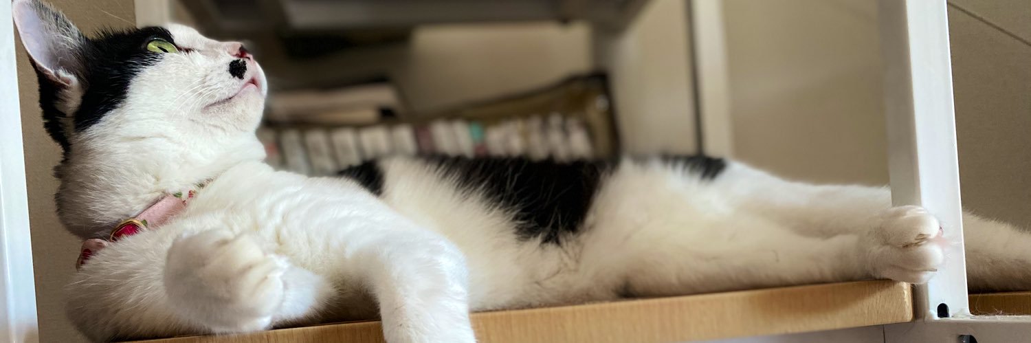 yappy_172's profile banner image