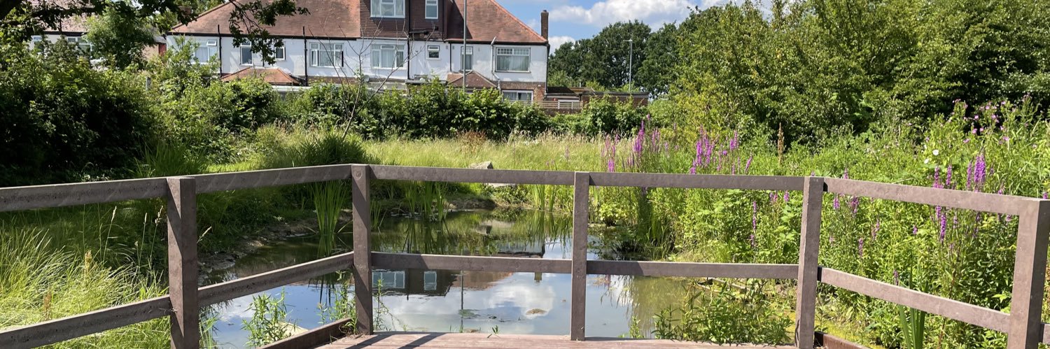 Cllr. Wayne Bridges banner