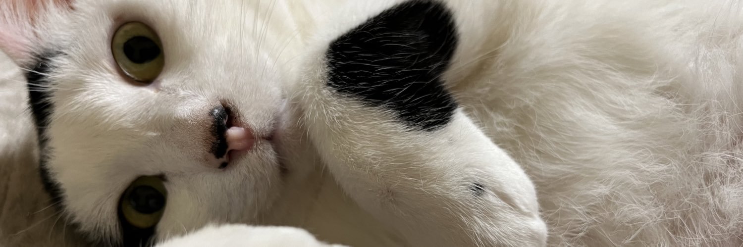 rekorekox's profile banner image