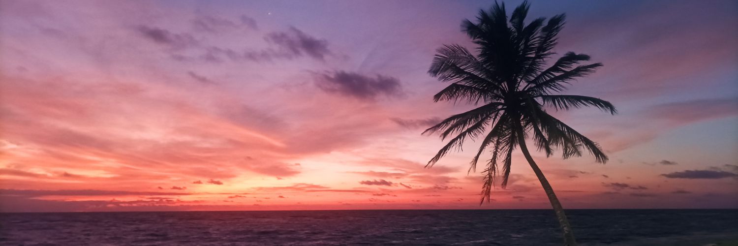 FdoDuarte's profile banner image