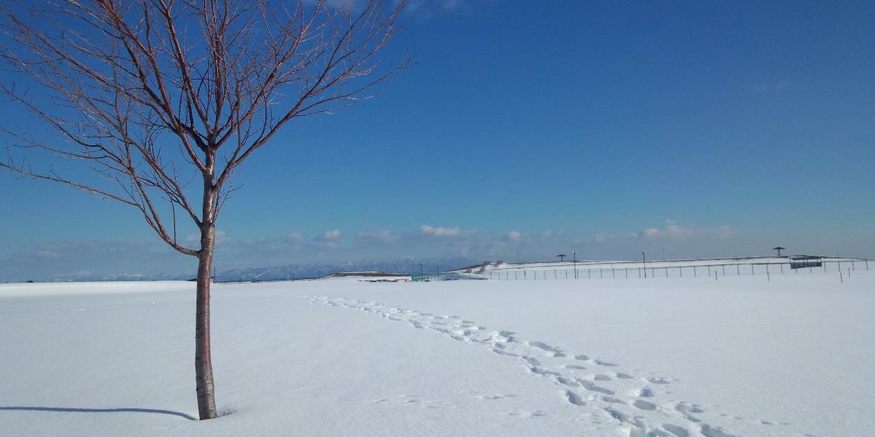 corecchio's profile banner image