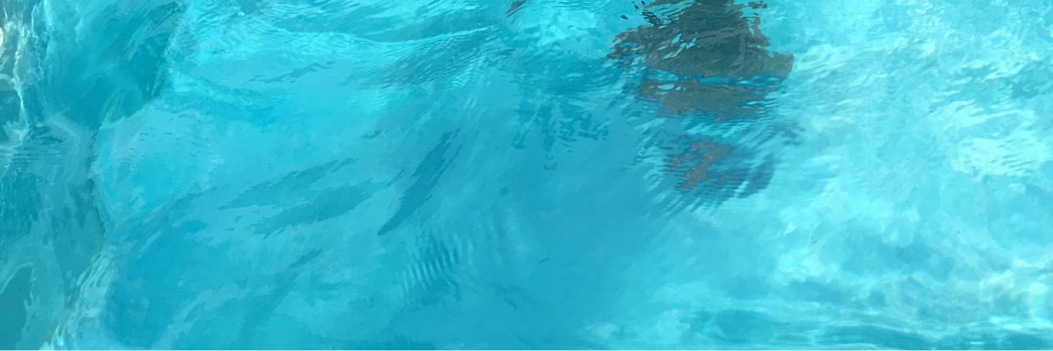 SamirShully's profile banner image