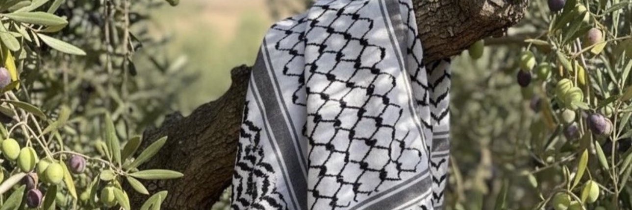 Kamal A.Hattab 🍉 banner