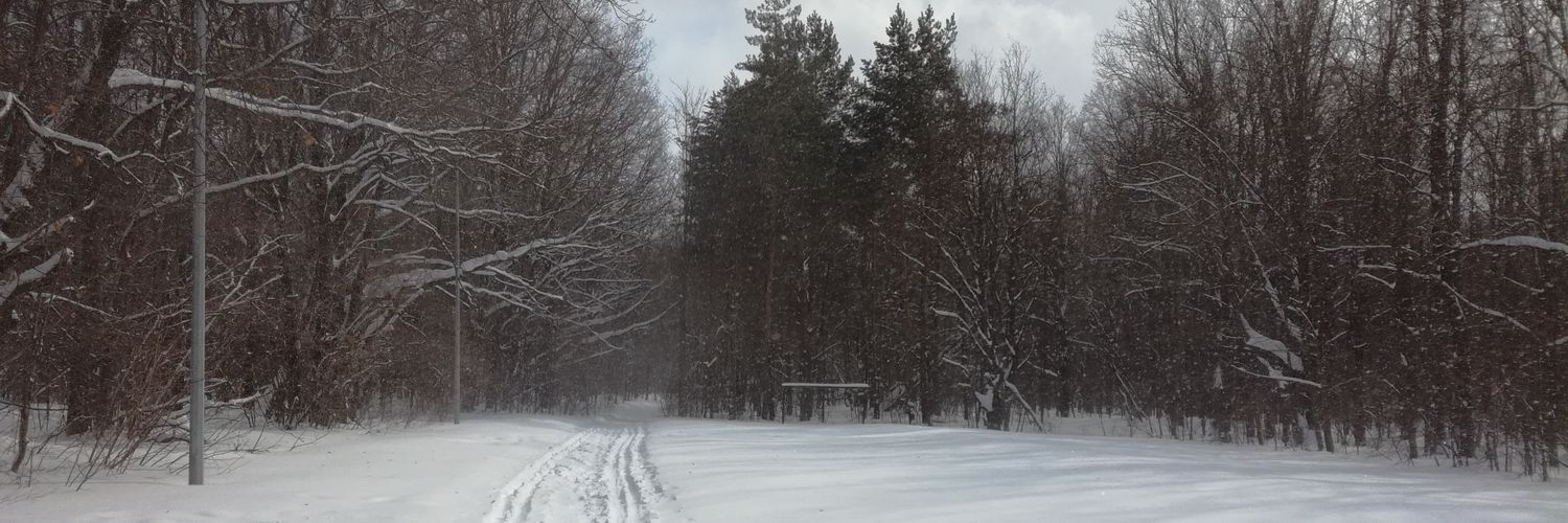 realrus's profile banner image