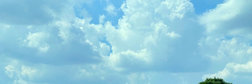nobikko's profile banner image