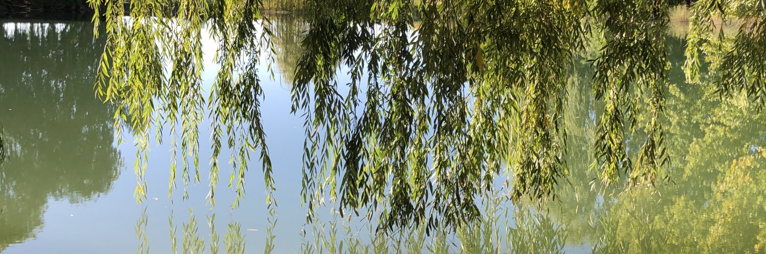 apba2206's profile banner image