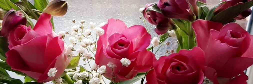 Kayte_Beth's profile banner image