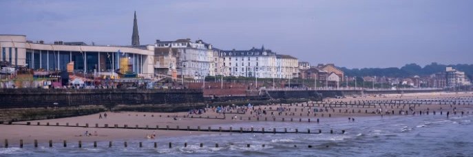 Brid Free Press banner