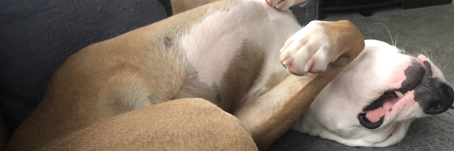 htowndweller's profile banner image