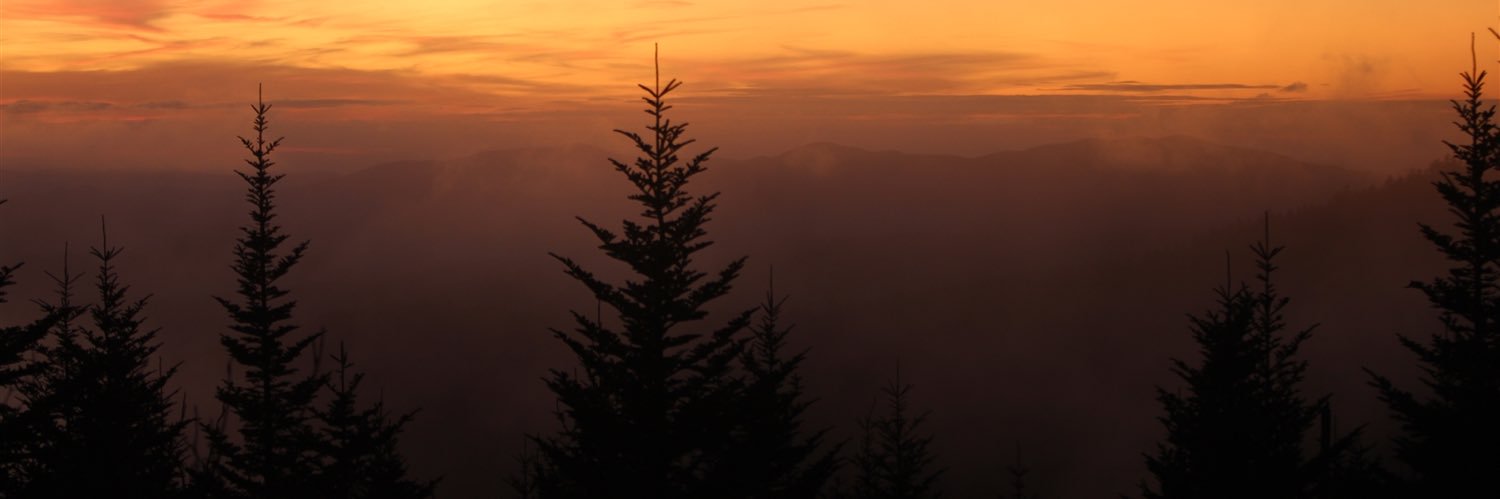 ParisChanelC's profile banner image