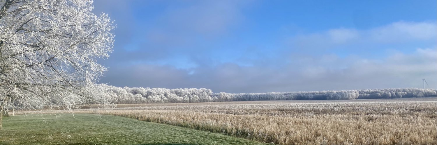 🇫🇷🌻 Marc BLANCHET banner