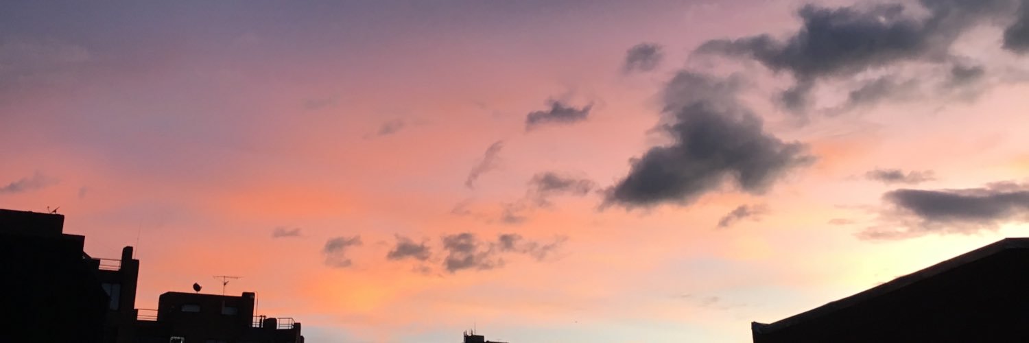 tatiana áñez banner