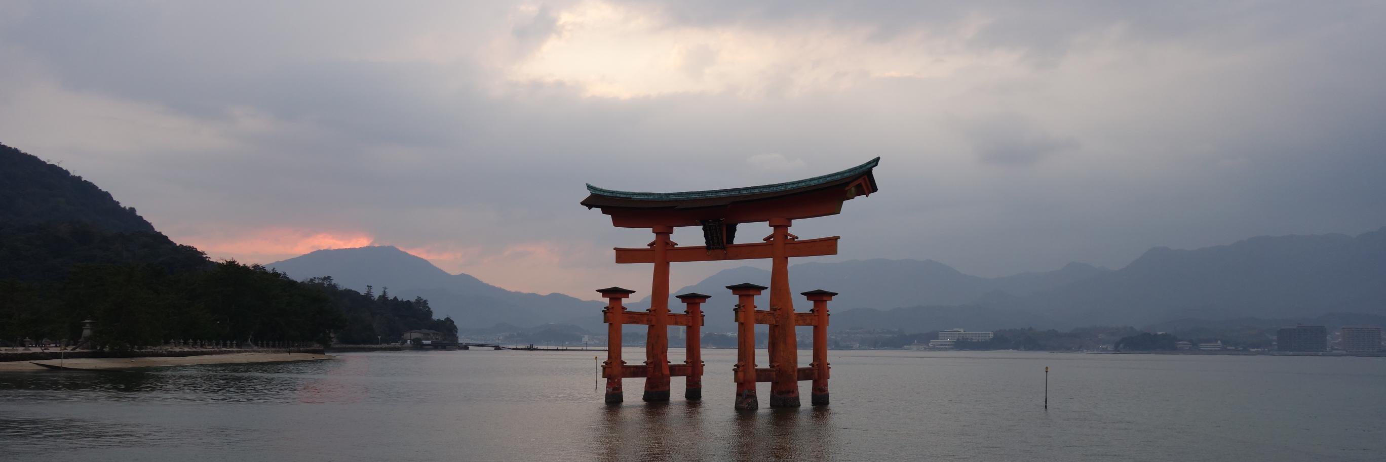 Graham Schiffman banner