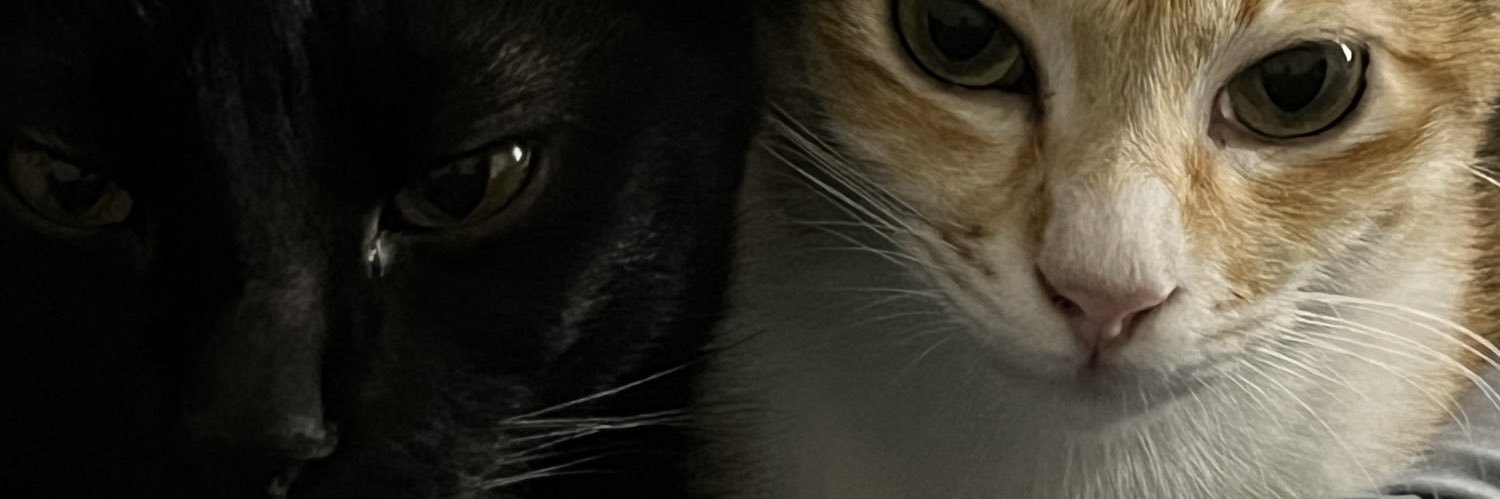 _xriii's profile banner image