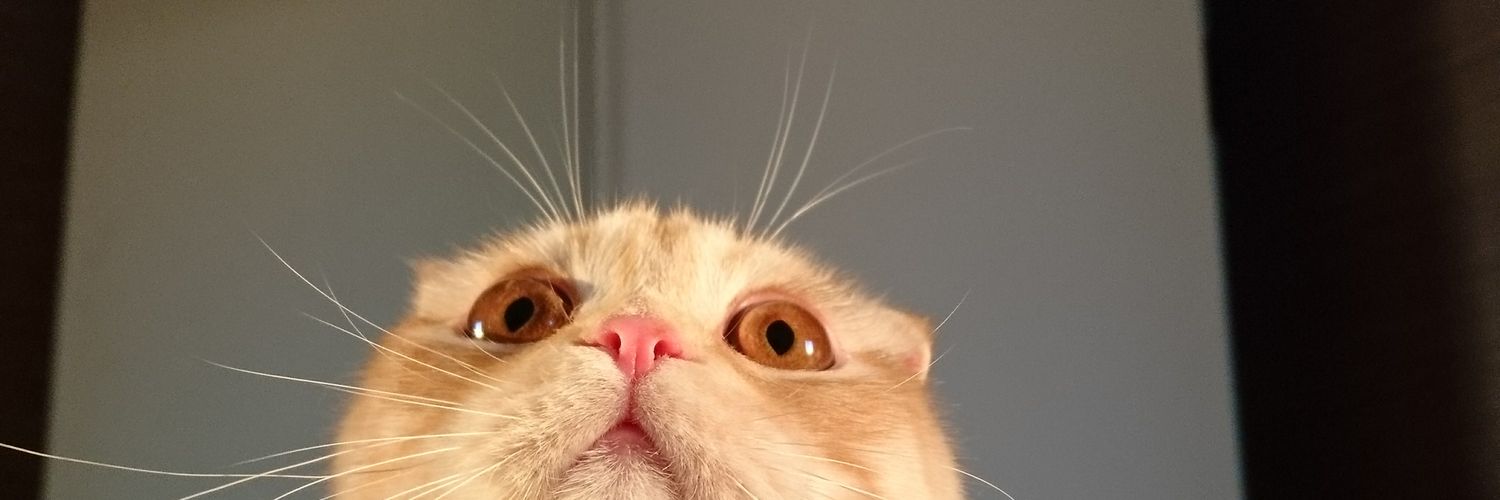 Ploymhee's profile banner image