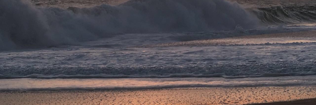 maderosario's profile banner image