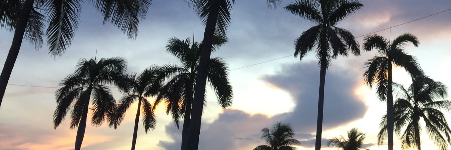 DBogant_'s profile banner image