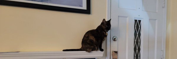 jtthenutt Profile Banner