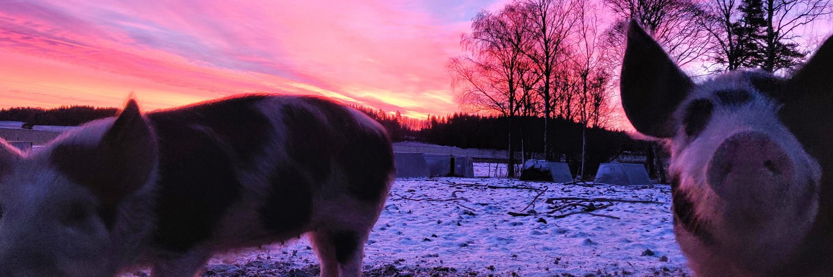 Michael A. Cooper banner