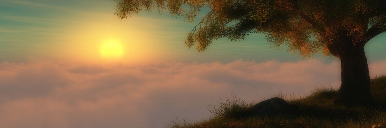 TattyPitassi's profile banner image