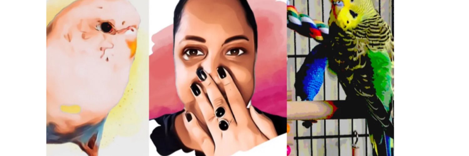 iampaular's profile banner image