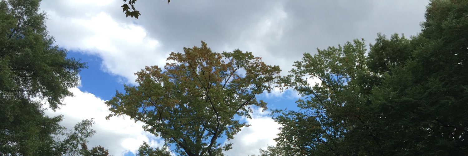 BIG_CHUGGA's profile banner image