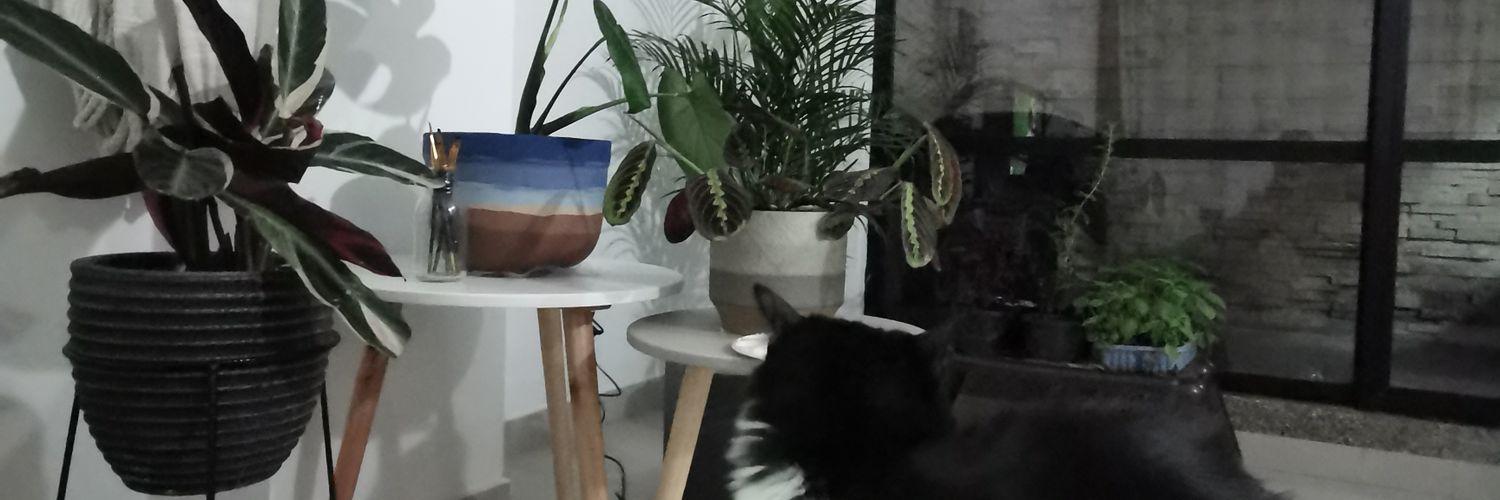oscaramuza's profile banner image