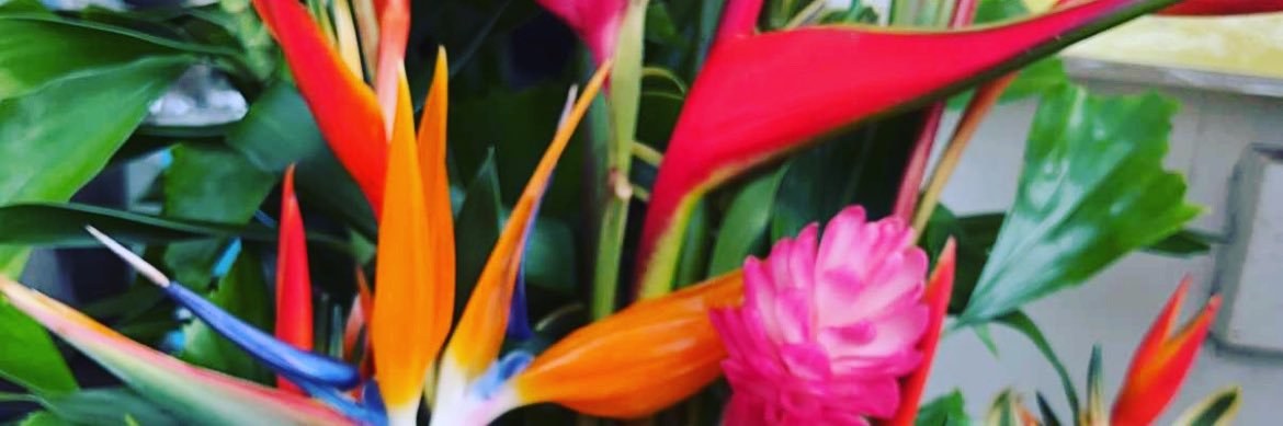 wowtami's profile banner image