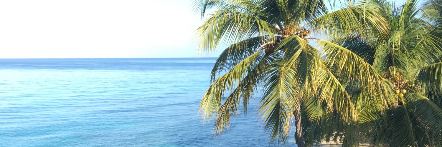 laurenmc23's profile banner image