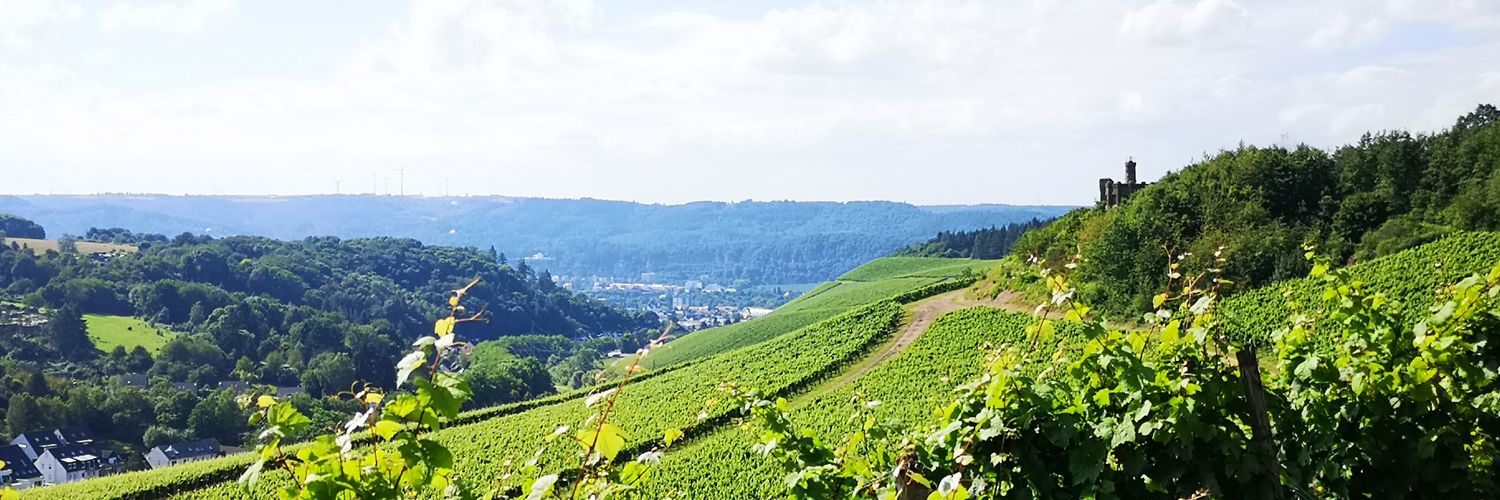 Matthias Koster banner