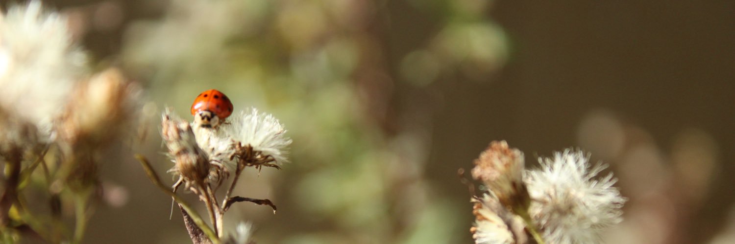 Twentyfoekt's profile banner image