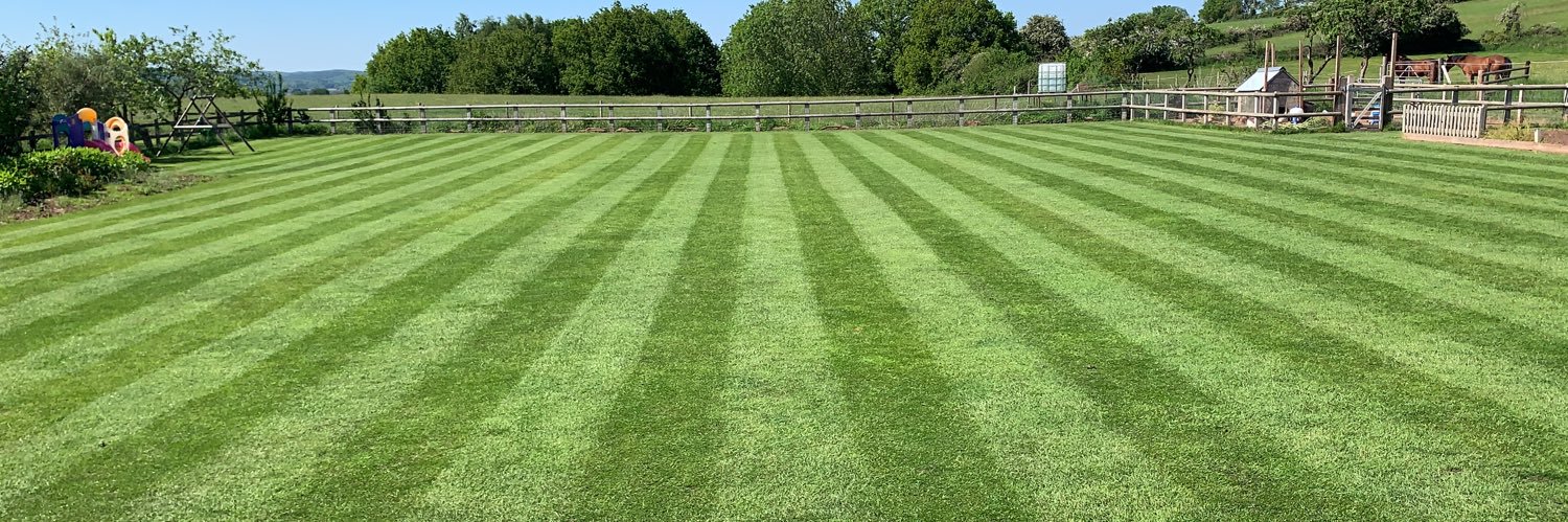 David Griffiths banner