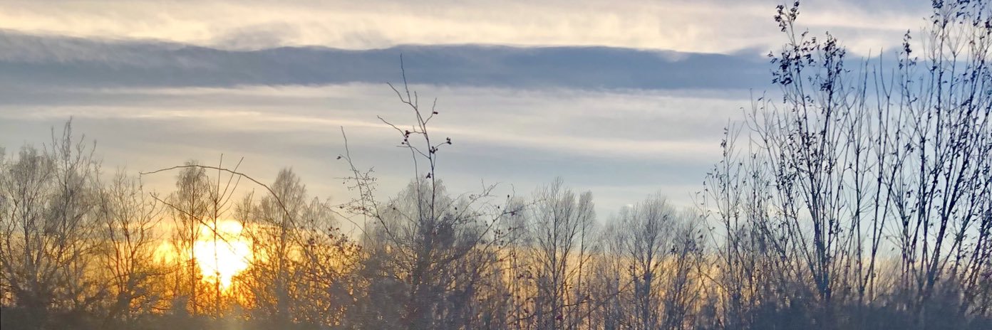 Evil Concussion banner