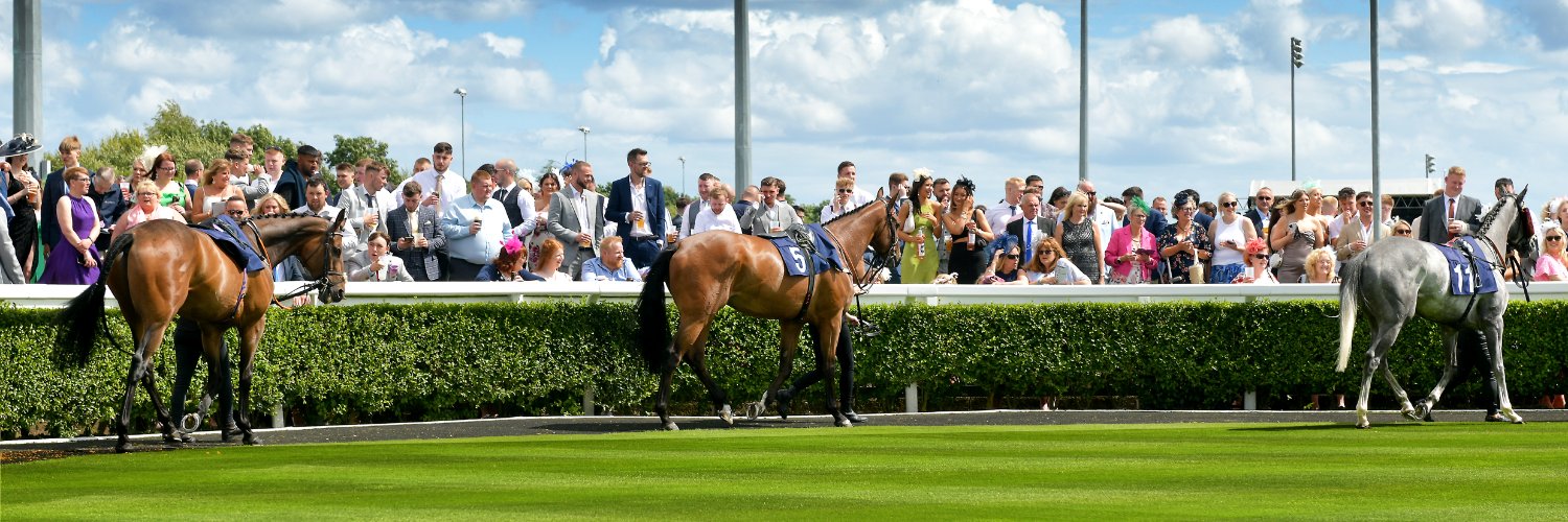 Newcastle Racecourse banner