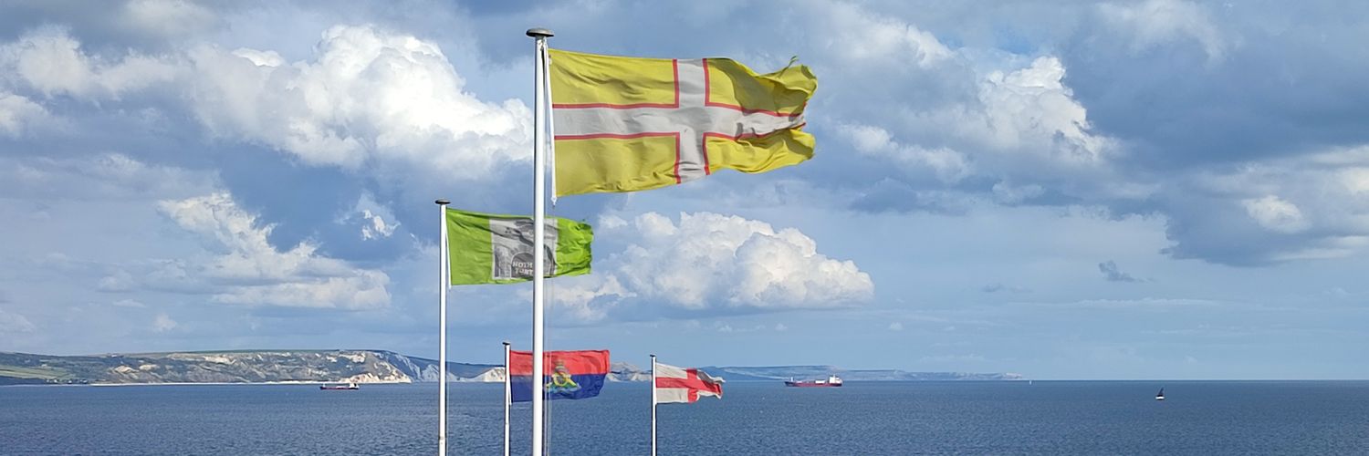 Rohan Gotobed banner