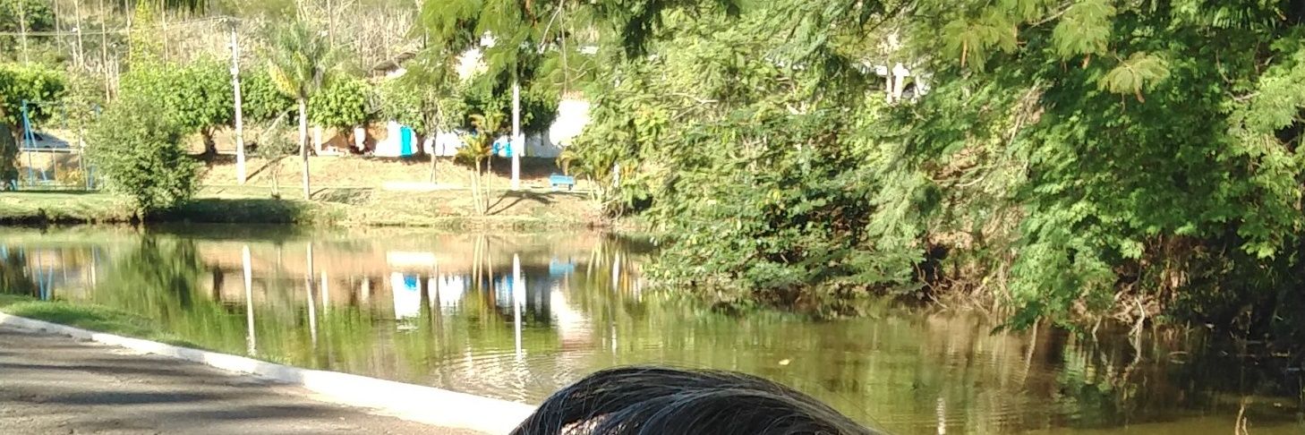 aledalele's profile banner image