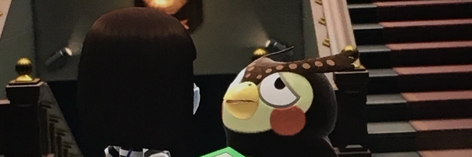 TigerTurtle's profile banner image