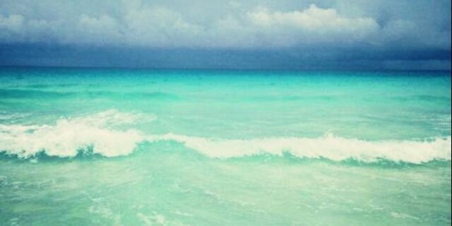 a_____lyss4's profile banner image