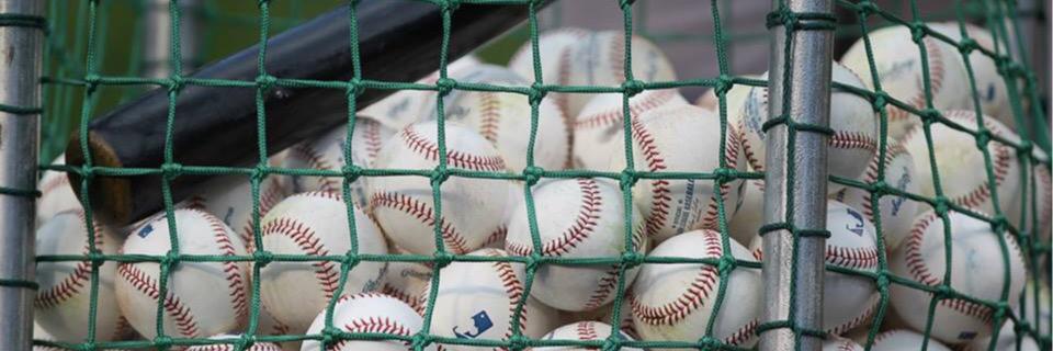 Ray-Pec Baseball banner